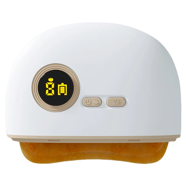 【DaoDi】砭石溫感按摩儀2入組-9段電動臉部按摩器(調溫震動刮痧按摩 刮痧板 溫感砭石 經絡按摩儀) 歷史價格詳細信息