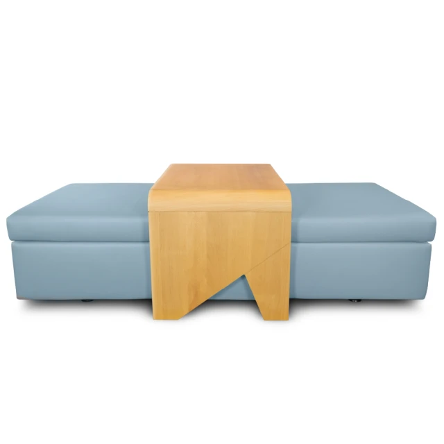 bgreen 運動養生椅 BR1  科技皮 歷史價格詳細信息