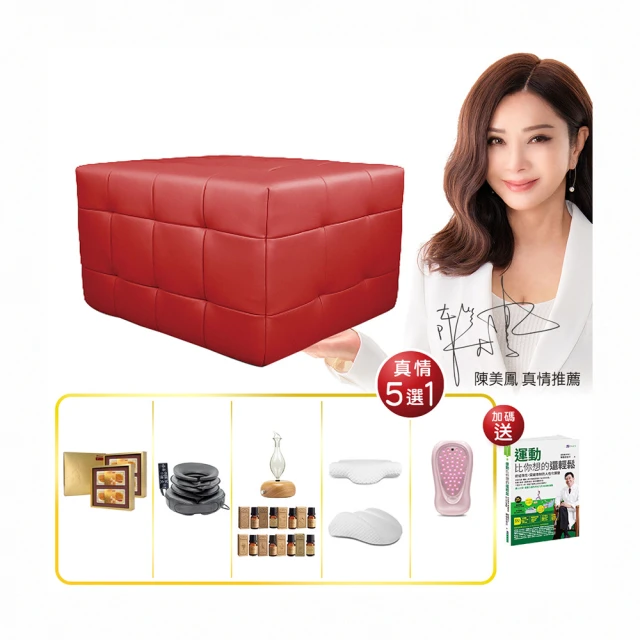 bgreen 運動養生椅 BR1  科技皮 歷史價格詳細信息