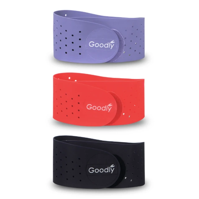 Goodly顧得力 歐風豪華三馬達電動床 HD-02 (床面蜂巢鋼板型) 歷史價格詳細信息