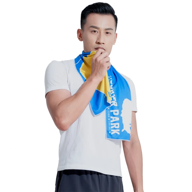 GIAT台灣製碘紗抗菌彈力無縫內褲-中腰款/粉色 歷史價格詳細信息