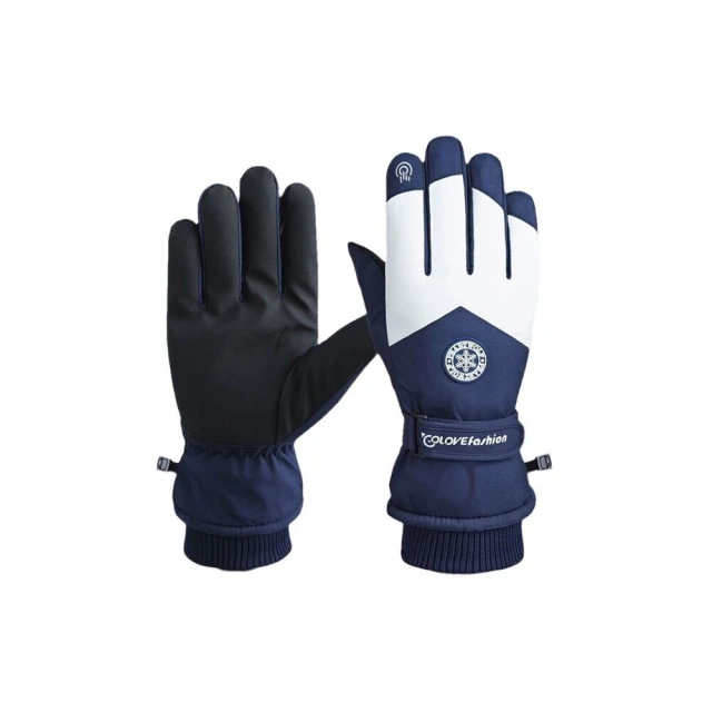 機車保暖手套 滑雪登山手套 防風防潑水手套 觸控手套 歷史價格詳細信息