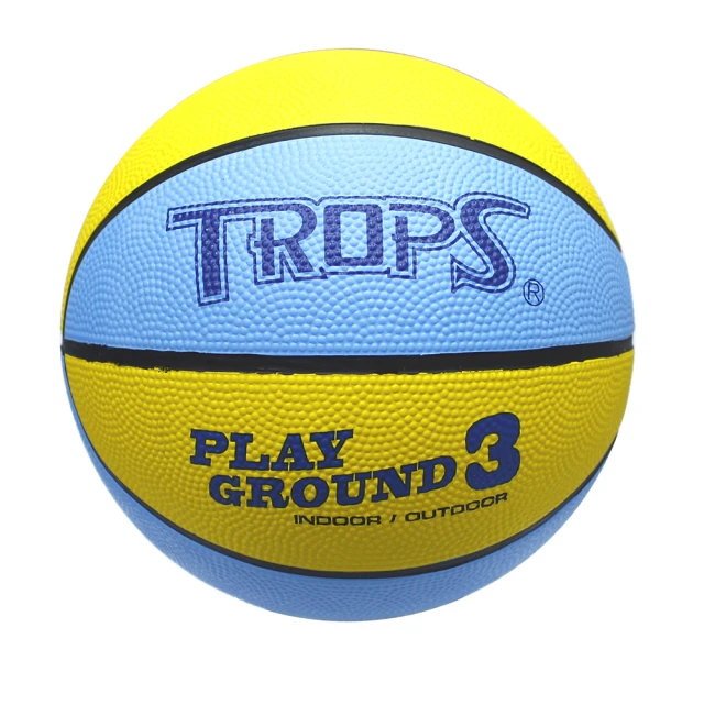 成功SUCCESS 彩色防滑健腹雙輪(海綿握把)S5203 歷史價格詳細信息