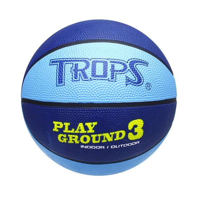 成功SUCCESS 彩色防滑健腹雙輪(海綿握把)S5203 歷史價格詳細信息