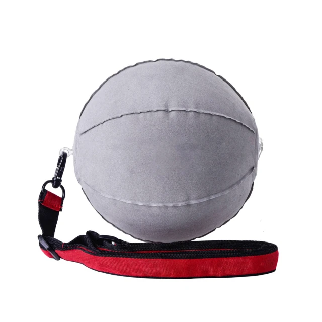 【AD-ROCKET】高爾夫免彎腰撿球器 撿球筒 撿球 拾球 歷史價格詳細信息