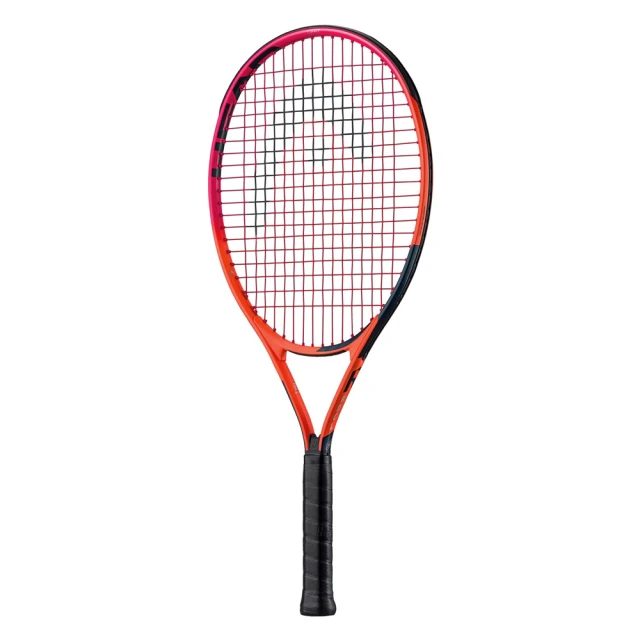 HEAD RADICAL PRO 匹克球拍 226022 玻璃纖維 匹克拍 贈握把布 PICKLEBALL PADDLE 歷史價格詳細信息