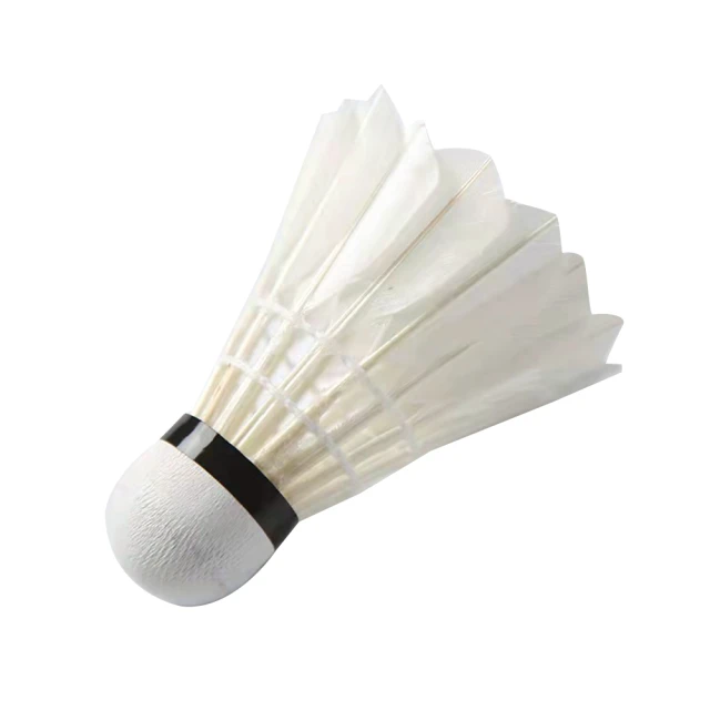 【WE FIT】原木三星球桌球拍 贈乒乓球+收納袋(SG094) 歷史價格詳細信息