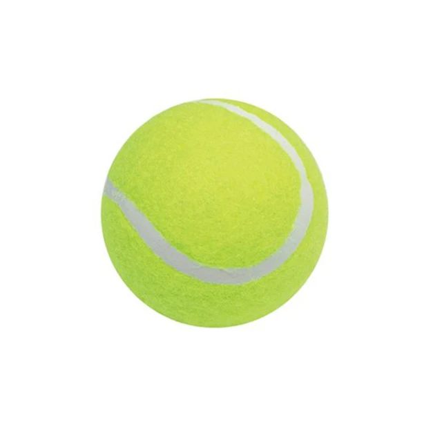 成功SUCCESS 5號日式彩色排球 S1352(附球網、球針) 歷史價格詳細信息