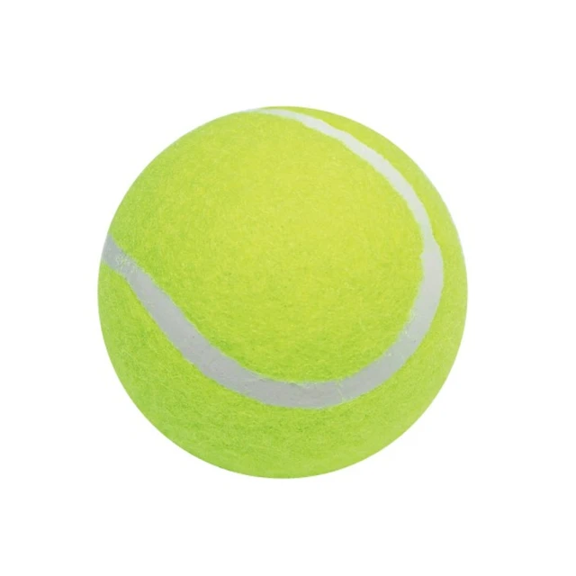 (6入1包x2包)不鏽鋼開口防風夾 曬衣夾 棉被夾 開口夾 扁衣夾 防風夾 曬被夾 歷史價格詳細信息