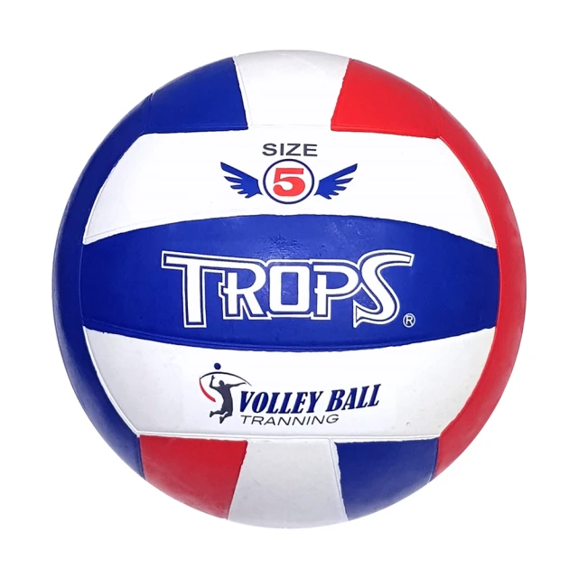 成功SUCCESS 彩色防滑健腹雙輪(海綿握把)S5203 歷史價格詳細信息