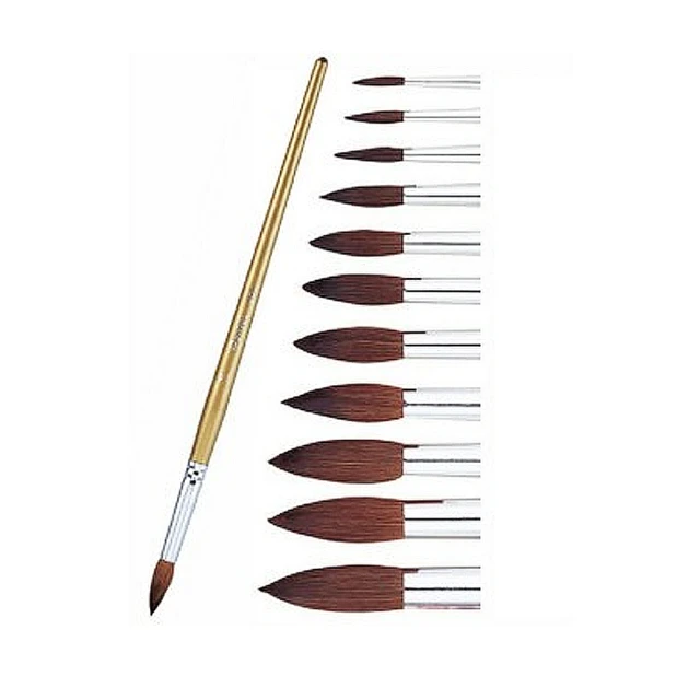 (6入1包x2包)不鏽鋼開口防風夾 曬衣夾 棉被夾 開口夾 扁衣夾 防風夾 曬被夾 歷史價格詳細信息