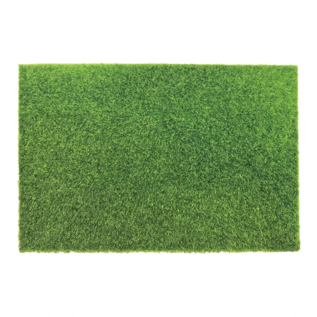 【ABEL 力大牌】青睞-草皮裝飾墊-蛋型(26×19 cm) 歷史價格詳細信息