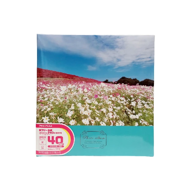 【Nakabayashi 仲林】NCL 港口.風景自黏相本 YB-73654(原廠正貨) 歷史價格詳細信息