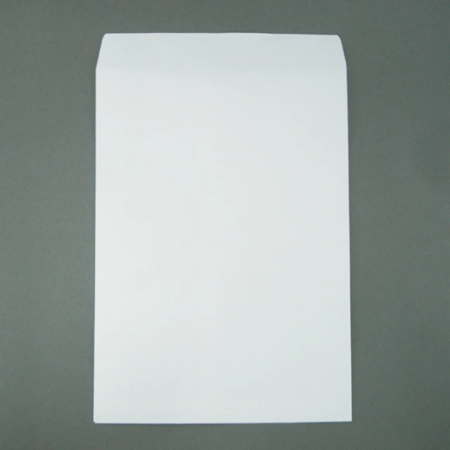 白牛皮公文封 大9K 100入裝 歷史價格詳細信息