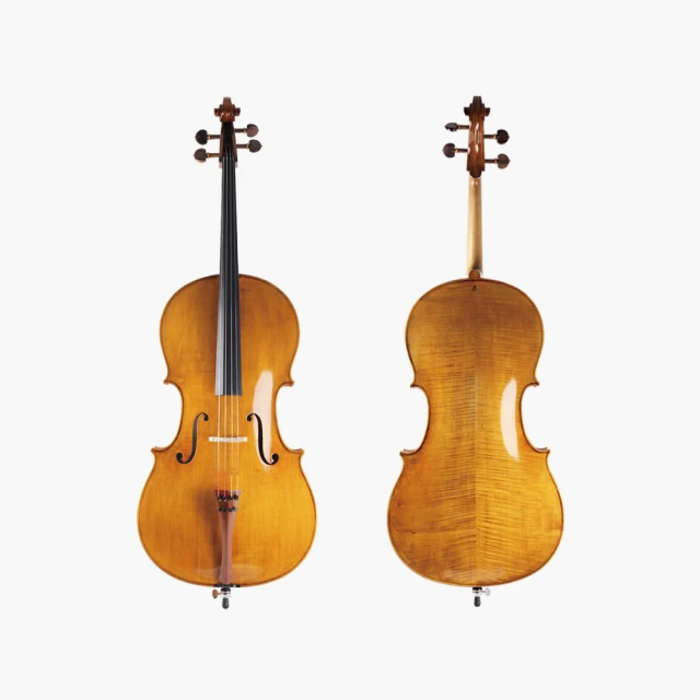 【ISVA】官方直營店 Willis Taylor 高級歐料手工中提琴 弦樂團舞台/演奏專用款(總公司出貨 商品安全保障) 歷史價格詳細信息