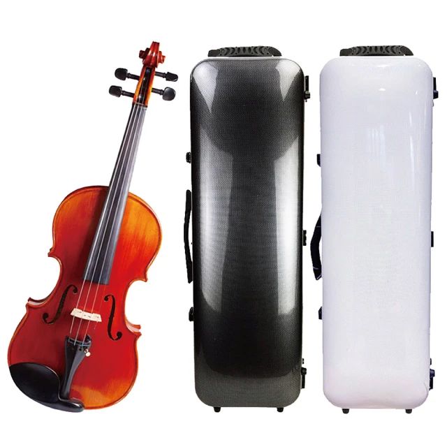 【Franz Sandner】德國法蘭山德 SV-4小提琴4/4-1/10 歐洲雲杉木面板尼龍弦/贈六大好禮+贈綠檀弓(小提琴) 歷史價格詳細信息