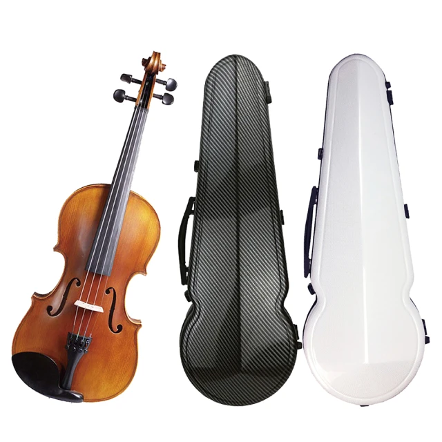 【Franz Sandner】德國法蘭山德 SV-4小提琴4/4-1/10 歐洲雲杉木面板尼龍弦/贈六大好禮+贈綠檀弓(小提琴) 歷史價格詳細信息