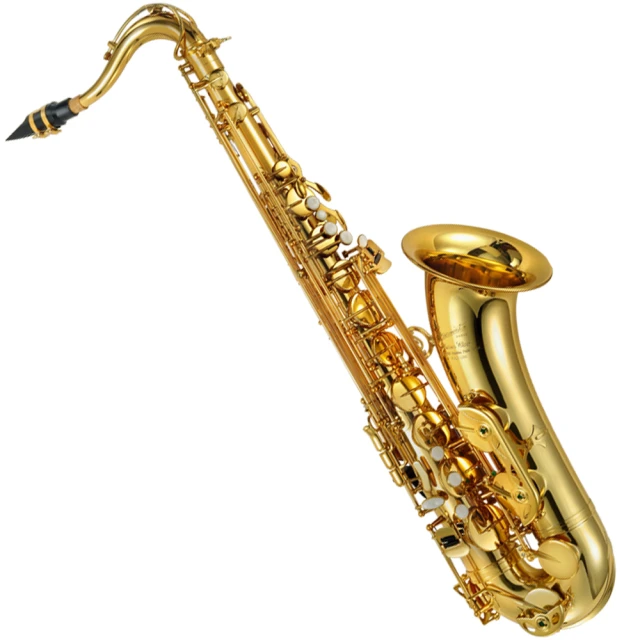 原廠 次元電 FGO妖騎士崔斯坦望月cosplay游戲動漫裝全 歷史價格詳細信息