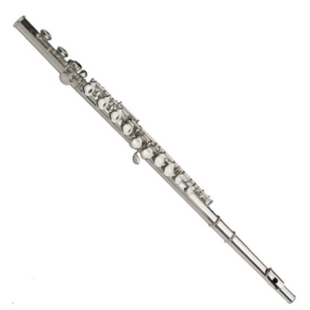 16孔長笛包挎包帆布長笛輕體包彎頭長笛盒可放雙笛頭長笛盒單肩背 歷史價格詳細信息