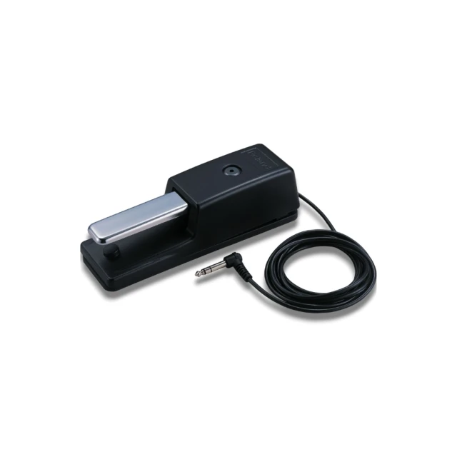 Roland DP-10 延音踏板 適用各種電鋼琴 數位鋼琴 電子琴 合成器與MIDI鍵盤 歷史價格詳細信息