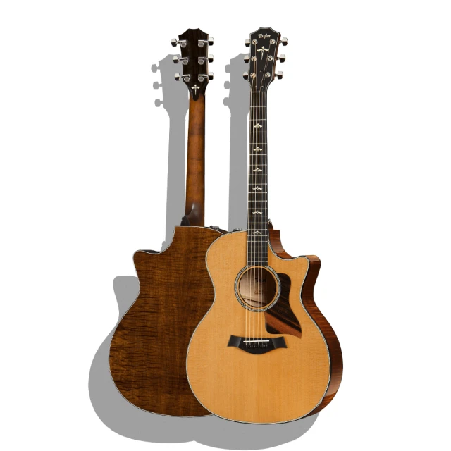 Taylor 吉他背帶 植物皮革 吉他禮品 Guitar Strap 歷史價格詳細信息