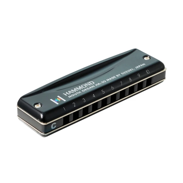 SUZUKI鈴木口琴正品專業演奏級24孔C調復音初學者入門男士 歷史價格詳細信息