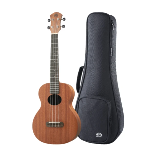 aNueNue B3 Rainbow入門系列 26吋 烏克麗麗 原聲款 歷史價格詳細信息