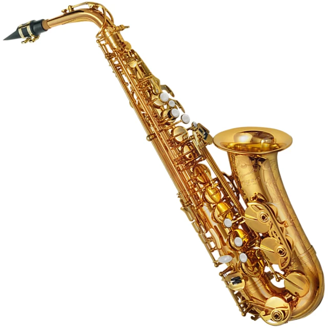 Master 薩瓦蘭雙塗層模 歷史價格詳細信息