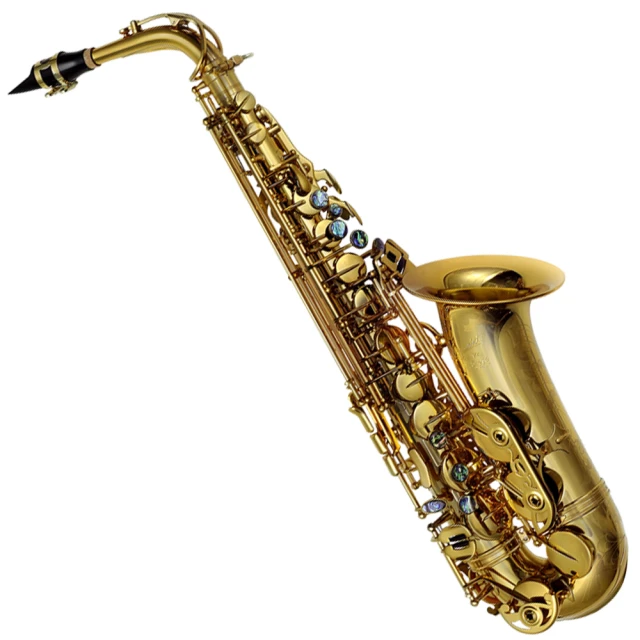 【P.Mauriat】 SYSTEM-76(II) Soprano Sax 小彎管高音薩克斯風 金漆 歷史價格詳細信息