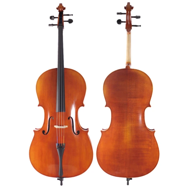 ISVA-I360 Violin 小提琴 進階學習琴【敦煌樂器】 歷史價格詳細信息