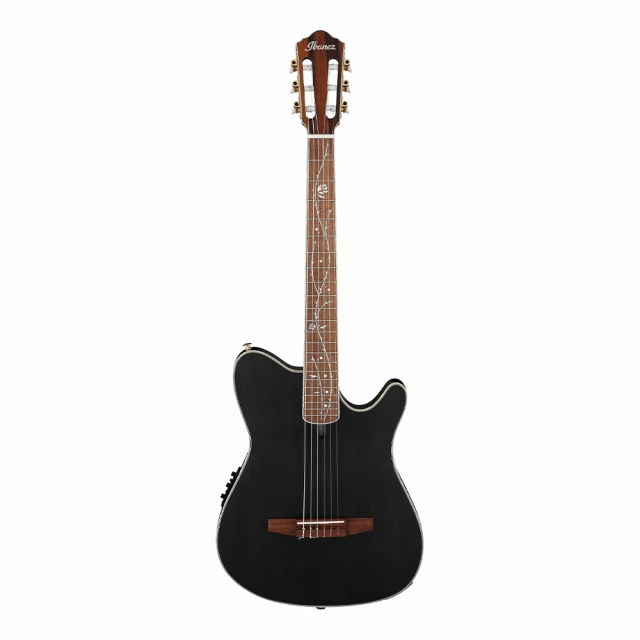 【Ibanez】TOD10N Tim Henson 簽名款電木吉他 跨界吉他 尼龍弦(原廠公司貨 商品品質有保證) 歷史價格詳細信息