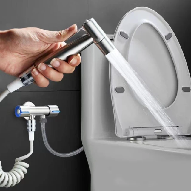 304不銹鋼衛浴洗屁屁(拉絲銀色) 165-TF150S 歷史價格詳細信息