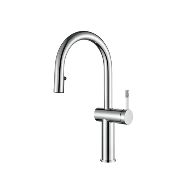 【大巨光】不銹鋼廚房壁式龍頭(118029) 歷史價格詳細信息