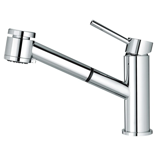 BOSS 立式伸縮龍頭 兩種模式 隱藏 噴頭 有加壓機適用 尊爵黑 P113211MB 歷史價格詳細信息