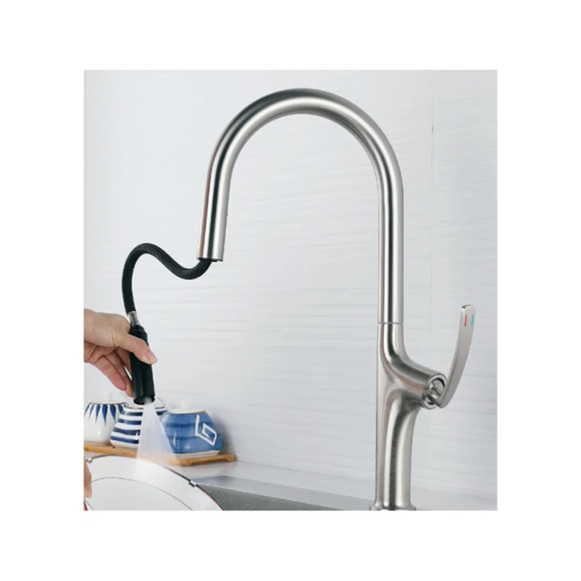 【大巨光】廚房伸縮龍頭 拉絲(112211-NB) 歷史價格詳細信息