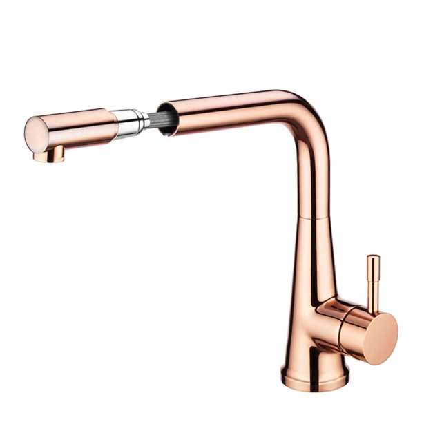 【大巨光】無鉛玫瑰金無鉛廚房檯面單孔雙槍過濾生飲廚房龍頭(AB-KD-101ROSE) 歷史價格詳細信息