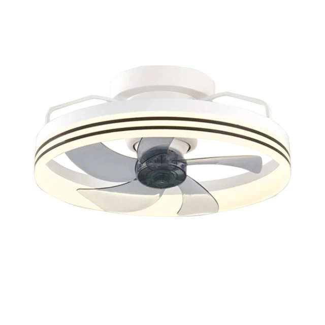 吊扇 吊扇燈 風扇 風扇燈 變頻吊扇燈 48吋 電扇 電扇燈 吊扇燈 吸頂風扇燈 LED吸頂風扇 歷史價格詳細信息