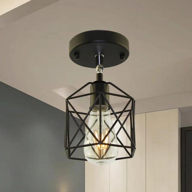 【光之饗宴】麋鹿單吊燈(黑色) 歷史價格詳細信息