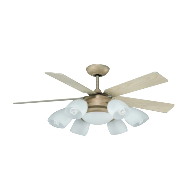 【光之饗宴】60吋 黃沙金布達佩斯-附遙控6+1燈吊扇(MIT 台灣製造) 歷史價格詳細信息