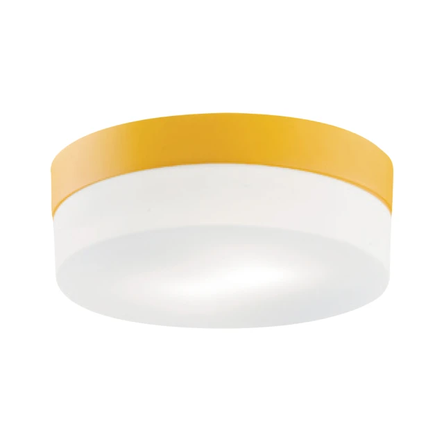 【必登堡】北歐奧斯華小吸頂燈 細雪白 B42512D(過道燈/走廊燈/單燈/造型/童趣/北歐) 歷史價格詳細信息