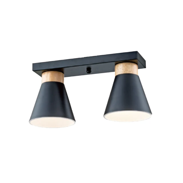 【大巨光】現代風 E27x2 半吸頂燈_中(LW-11-1566) 歷史價格詳細信息