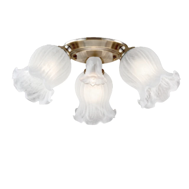 【大巨光】現代風 E27x3 半吸頂燈_中(LW-11-2135) 歷史價格詳細信息