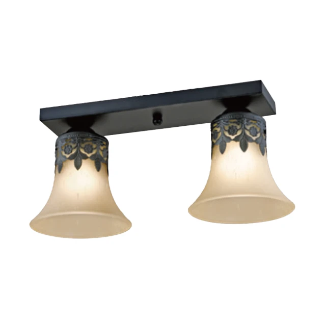 【大巨光】現代風 E27x2 半吸頂燈_中(LW-11-1566) 歷史價格詳細信息