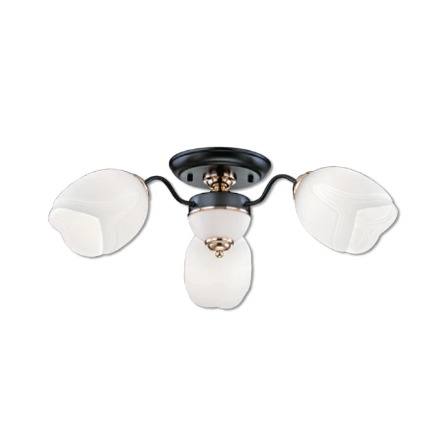 【必登堡】典喻壁燈 B565111(客廳背景燈/庭園燈/床頭燈/臥室燈/過道燈/樓梯燈/現代/古典風) 歷史價格詳細信息