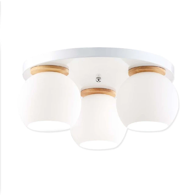 【必登堡】北歐奧斯華小吸頂燈 細雪白 B42512D(過道燈/走廊燈/單燈/造型/童趣/北歐) 歷史價格詳細信息