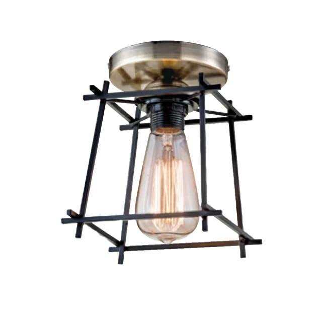 【大巨光】現代風E27x1 半吸頂燈-小(LW-11-4161) 歷史價格詳細信息