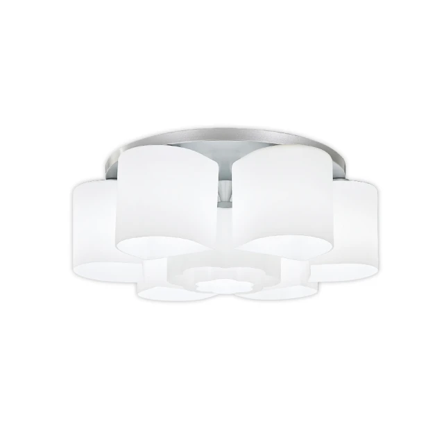 吸頂燈(6)~直徑約41.5cm~故障品~無燈管~只有外殼~塑料燈罩+鐵皮底盤~懷舊.道具 歷史價格詳細信息