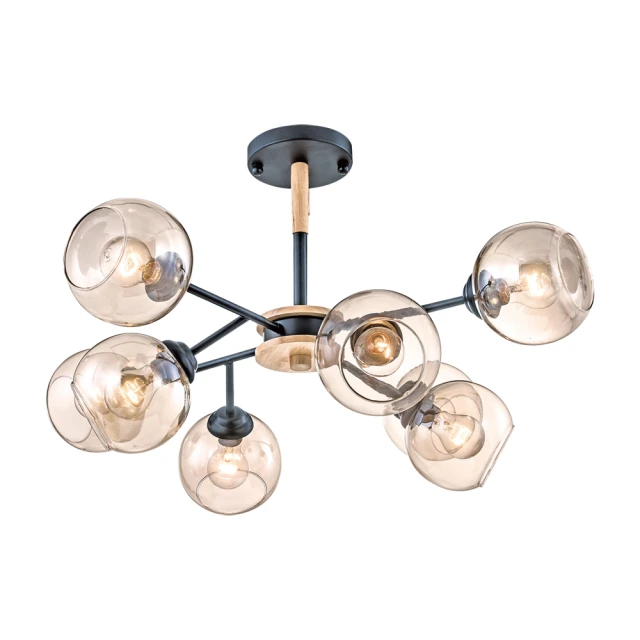 吸頂燈(8)~E27~功能正常~不附燈泡~單盞價格~隨機出貨 歷史價格詳細信息