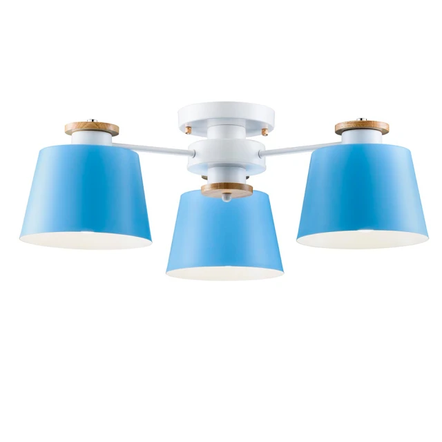 【大巨光】北歐風E27 10燈 半吸頂燈-大(BM-50251) 歷史價格詳細信息