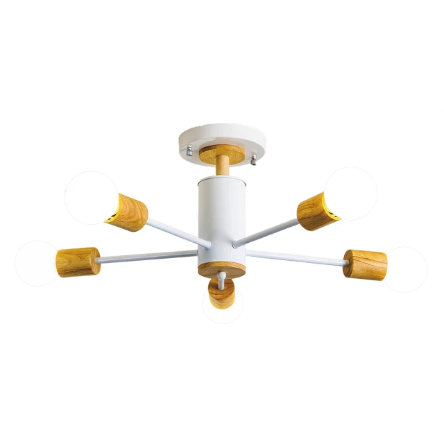 【大巨光】北歐風E27 10燈 半吸頂燈-大(BM-50251) 歷史價格詳細信息